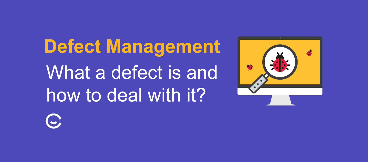 defect management